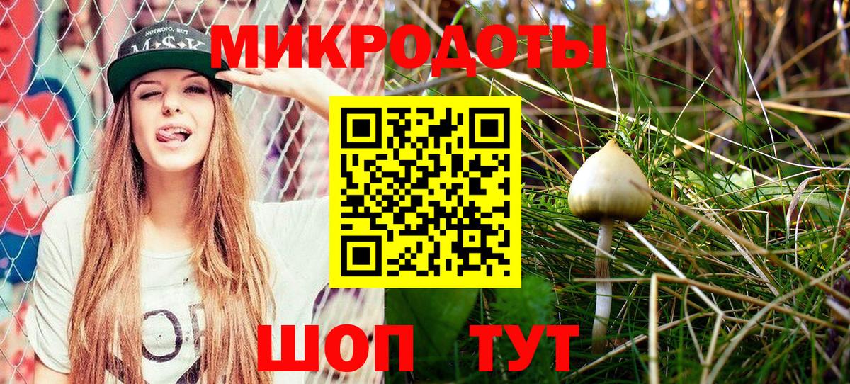 Псилоцибиновые грибы GOLDEN TEACHER Надым